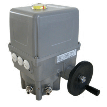 Electric Rotary Actuator